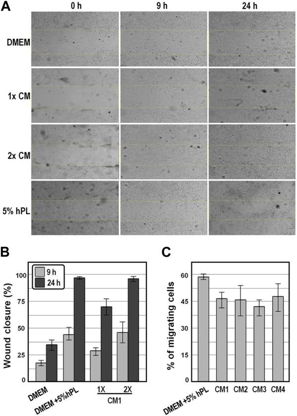 https://cdn.ncbi.nlm.nih.gov/pmc/blobs/6f26/10580810/07a9ff77ea3a/fmolb-10-1273814-g005.jpg