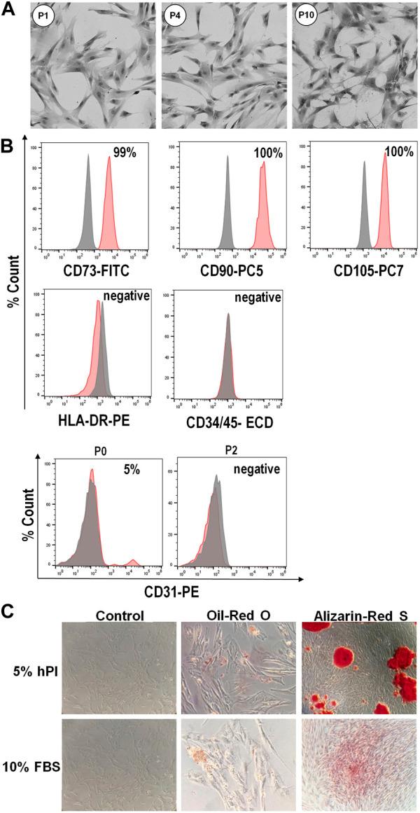 https://cdn.ncbi.nlm.nih.gov/pmc/blobs/6f26/10580810/2f1047beac04/fmolb-10-1273814-g002.jpg