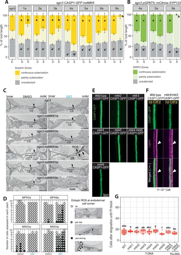 https://cdn.ncbi.nlm.nih.gov/pmc/blobs/6f29/11410668/1c285e7041b8/41477_2024_1768_Fig14_ESM.jpg