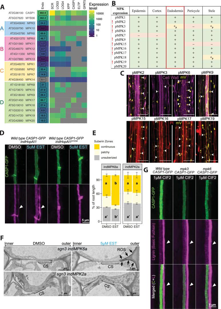 https://cdn.ncbi.nlm.nih.gov/pmc/blobs/6f29/11410668/624ef5a12b9a/41477_2024_1768_Fig11_ESM.jpg