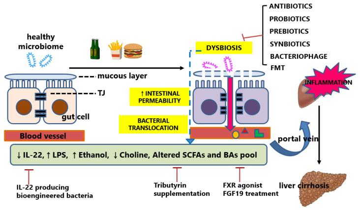 https://cdn.ncbi.nlm.nih.gov/pmc/blobs/6f29/8745242/6fc8220b50b7/ijms-23-00426-g002.jpg