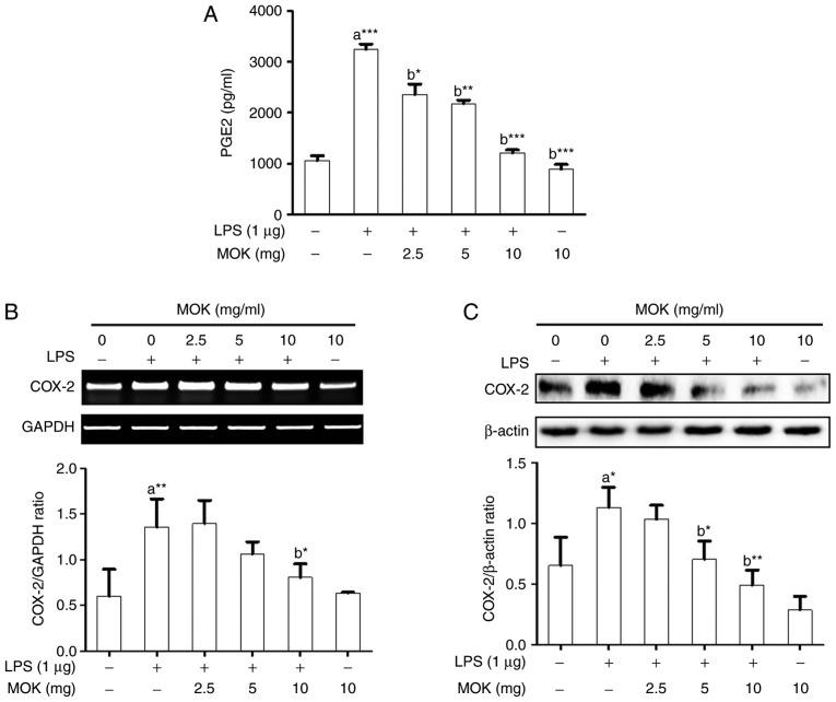 https://cdn.ncbi.nlm.nih.gov/pmc/blobs/6f2c/6257867/a24cdd4cd9d3/IJMM-43-01-0026-g02.jpg
