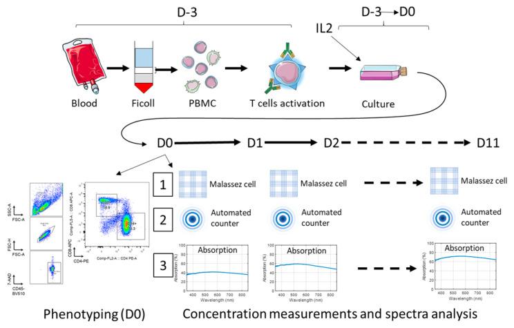 https://cdn.ncbi.nlm.nih.gov/pmc/blobs/6f2e/12025026/f685e737bc3a/biosensors-15-00251-g001.jpg