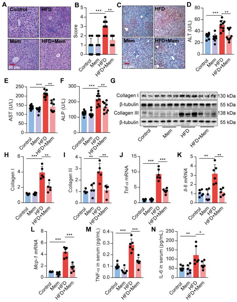 https://cdn.ncbi.nlm.nih.gov/pmc/blobs/6f2e/7797674/2e9da4192c46/thnov11p2247g003.jpg