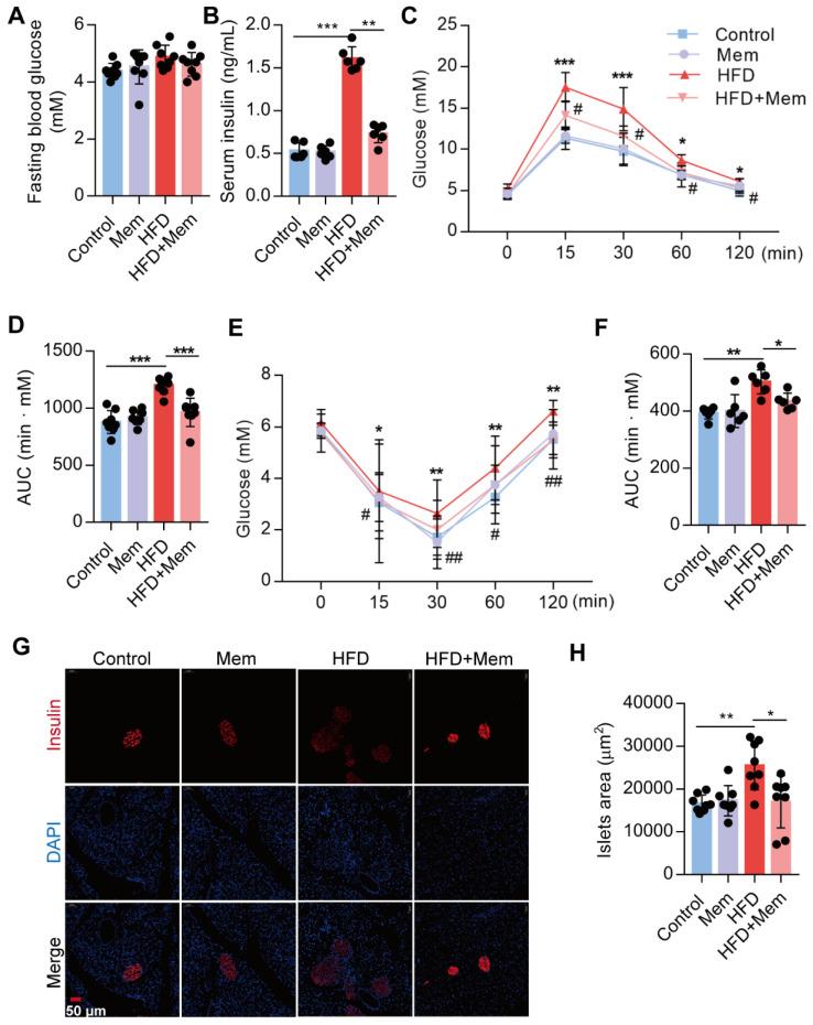 https://cdn.ncbi.nlm.nih.gov/pmc/blobs/6f2e/7797674/8af6e63f9c40/thnov11p2247g002.jpg