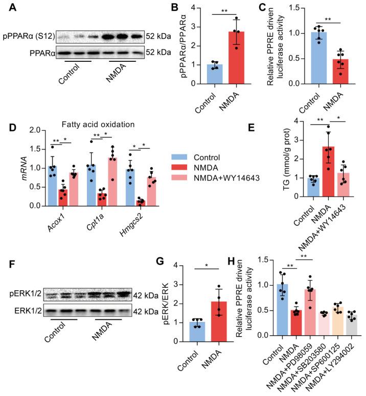 https://cdn.ncbi.nlm.nih.gov/pmc/blobs/6f2e/7797674/8eec5ee23021/thnov11p2247g008.jpg
