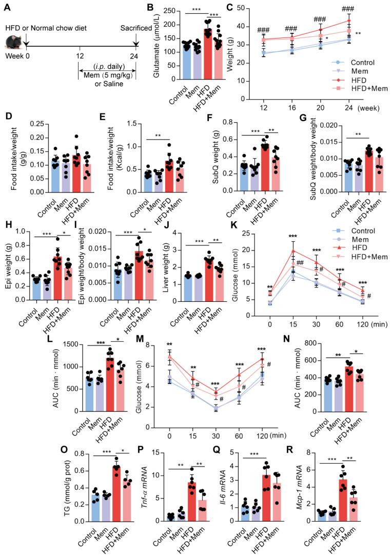 https://cdn.ncbi.nlm.nih.gov/pmc/blobs/6f2e/7797674/ca77fe1e4ac8/thnov11p2247g004.jpg