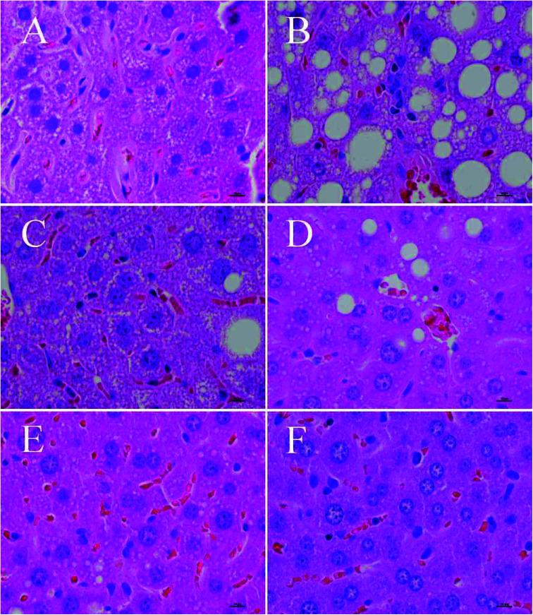 https://cdn.ncbi.nlm.nih.gov/pmc/blobs/6f2e/9122559/2892fe9ab744/c9ra10991a-f3.jpg