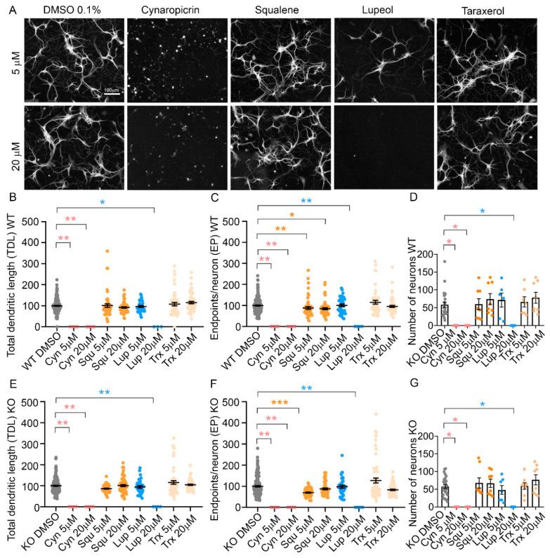 https://cdn.ncbi.nlm.nih.gov/pmc/blobs/6f30/9783035/4b18a4313b83/molecules-27-08772-g006.jpg