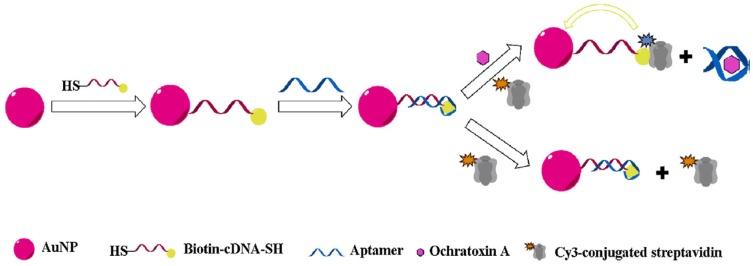 https://cdn.ncbi.nlm.nih.gov/pmc/blobs/6f31/5705964/a889c77789b6/toxins-09-00349-g003.jpg