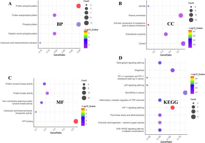 https://cdn.ncbi.nlm.nih.gov/pmc/blobs/6f32/11695685/1b80e543e762/41598_2024_83921_Fig3_HTML.jpg