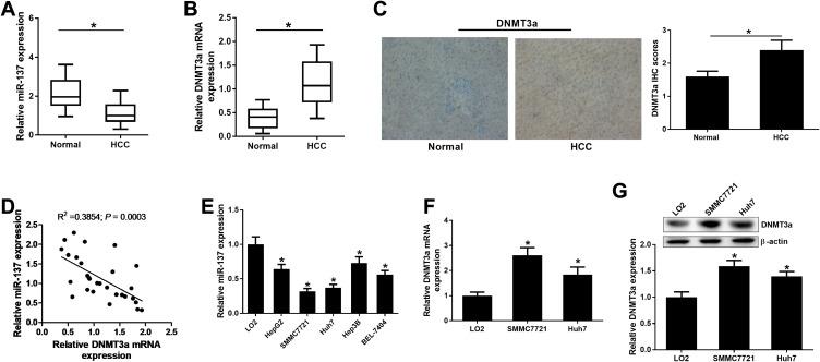 https://cdn.ncbi.nlm.nih.gov/pmc/blobs/6f34/7802901/0dca3055cdb8/OTT-14-165-g0001.jpg