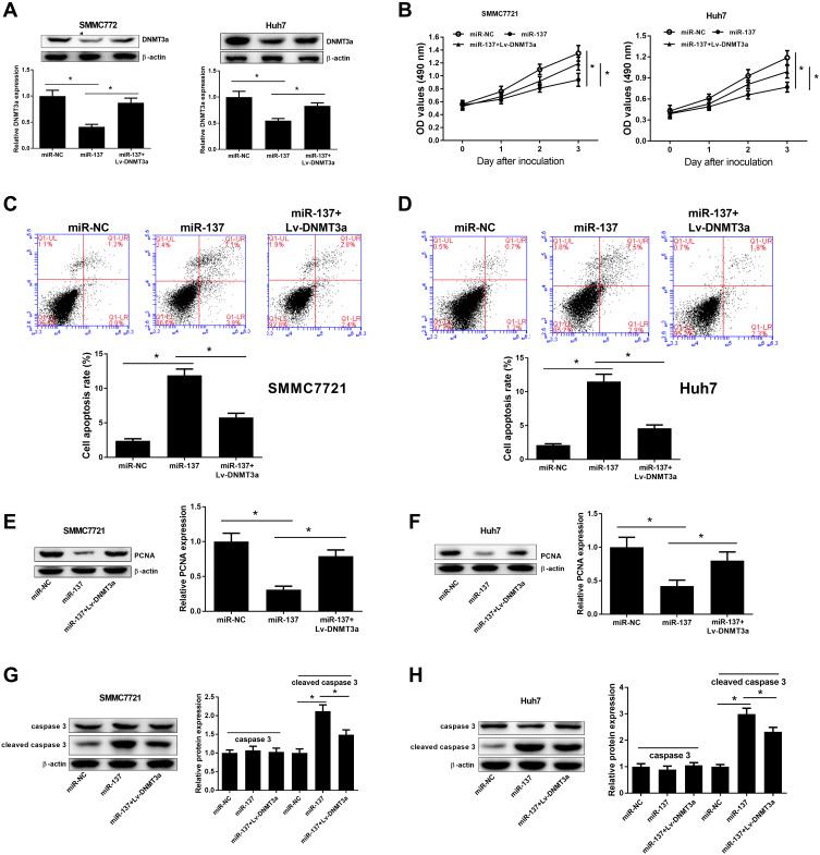 https://cdn.ncbi.nlm.nih.gov/pmc/blobs/6f34/7802901/ecf6a7732c6b/OTT-14-165-g0003.jpg