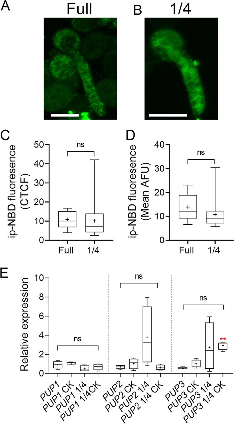https://cdn.ncbi.nlm.nih.gov/pmc/blobs/6f34/9430538/18b3c5491420/spectrum.00280-22-f008.jpg