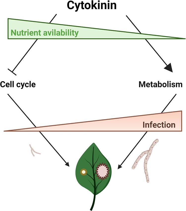 https://cdn.ncbi.nlm.nih.gov/pmc/blobs/6f34/9430538/dc7e8e428ce1/spectrum.00280-22-f009.jpg