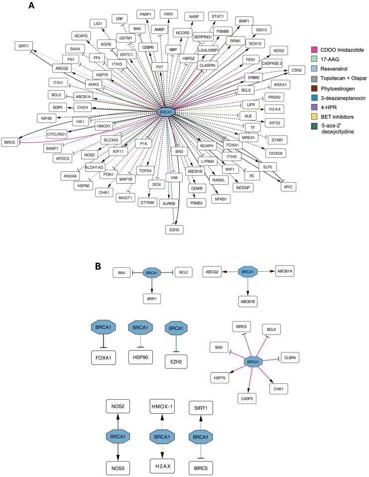 https://cdn.ncbi.nlm.nih.gov/pmc/blobs/6f38/11940086/96ba6e4b327e/biology-14-00253-g003.jpg