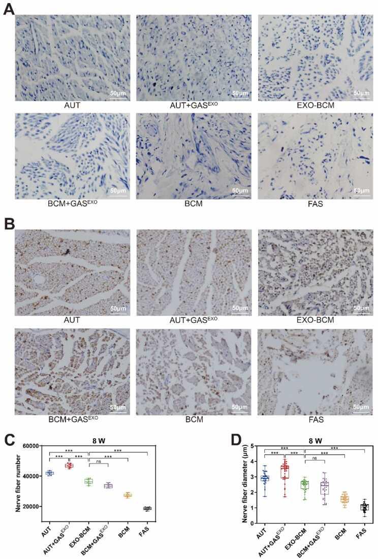 https://cdn.ncbi.nlm.nih.gov/pmc/blobs/6f3b/10570595/f5bcf820a7a0/gr4.jpg