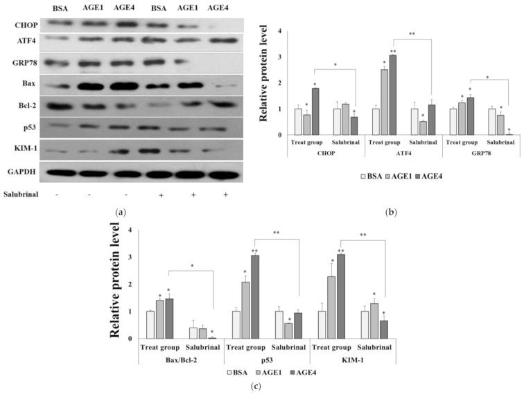 https://cdn.ncbi.nlm.nih.gov/pmc/blobs/6f3d/8235496/95f5c30fb82a/ijms-22-06530-g004.jpg