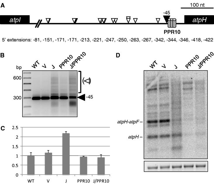 https://cdn.ncbi.nlm.nih.gov/pmc/blobs/6f3e/3799425/84665aeba30e/gkt640f2p.jpg