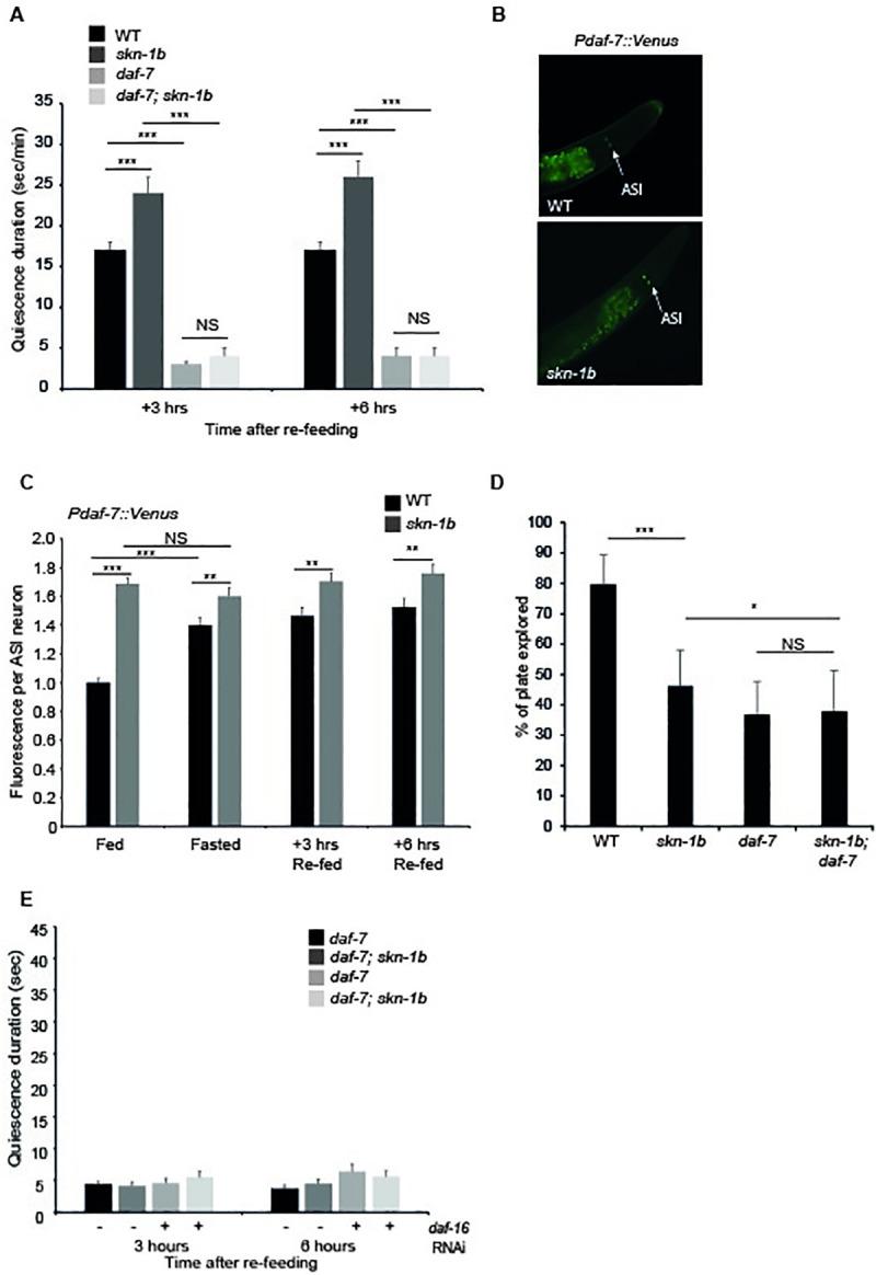 https://cdn.ncbi.nlm.nih.gov/pmc/blobs/6f3e/7932105/e1d31f5eeed9/pgen.1009358.g004.jpg