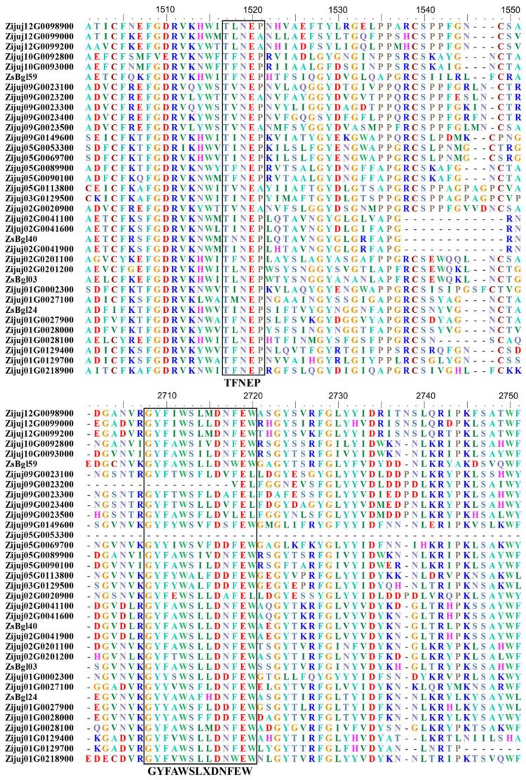 https://cdn.ncbi.nlm.nih.gov/pmc/blobs/6f40/10298349/3ec4d54ca4b0/genes-14-01135-g001.jpg