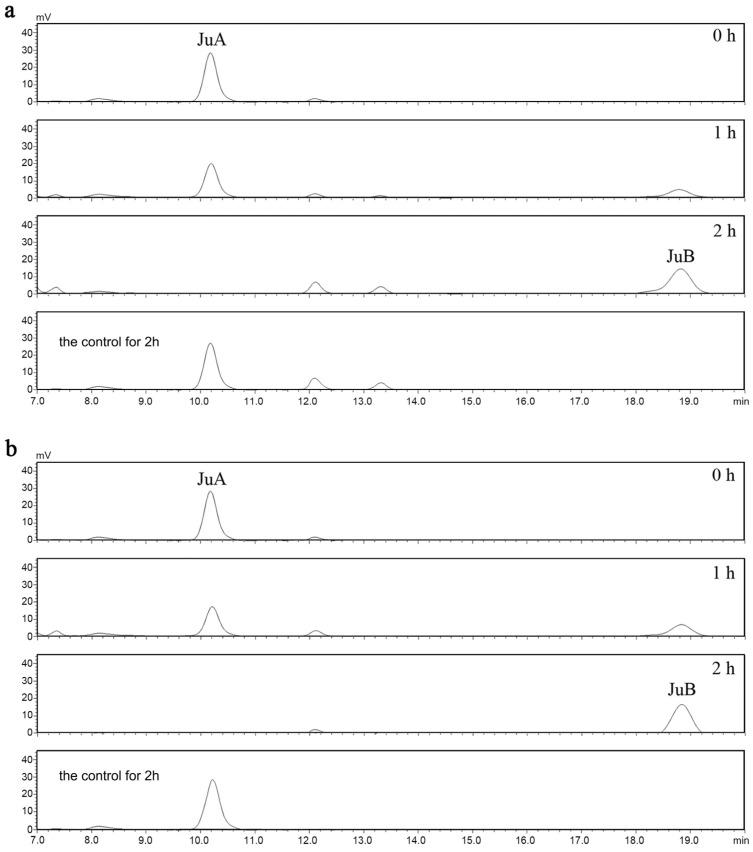 https://cdn.ncbi.nlm.nih.gov/pmc/blobs/6f40/10298349/6c558f17884c/genes-14-01135-g003.jpg