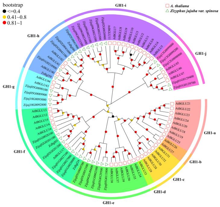 https://cdn.ncbi.nlm.nih.gov/pmc/blobs/6f40/10298349/cfd3ed563557/genes-14-01135-g002.jpg