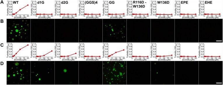 https://cdn.ncbi.nlm.nih.gov/pmc/blobs/6f41/12143593/280382000b80/gkaf481fig3.jpg