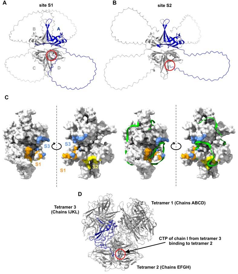 https://cdn.ncbi.nlm.nih.gov/pmc/blobs/6f41/12143593/c006ffeccb11/gkaf481fig9.jpg
