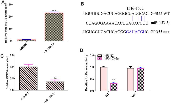 https://cdn.ncbi.nlm.nih.gov/pmc/blobs/6f45/10497013/81378eed45ad/aging-15-204002-g003.jpg
