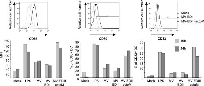 https://cdn.ncbi.nlm.nih.gov/pmc/blobs/6f48/2154386/7d6d8ccd8ca5/pntd.0000096.g005.jpg