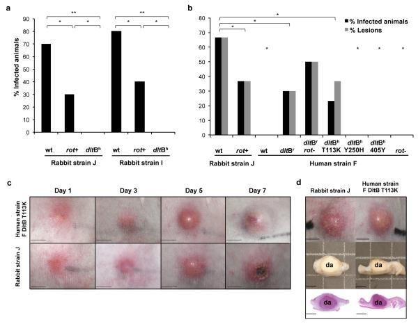 https://cdn.ncbi.nlm.nih.gov/pmc/blobs/6f4b/4824278/eacc2539304d/emss-61870-f0003.jpg