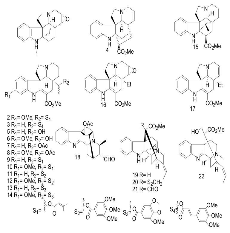 https://cdn.ncbi.nlm.nih.gov/pmc/blobs/6f4c/7831967/6cf215b22749/molecules-26-00488-g005.jpg