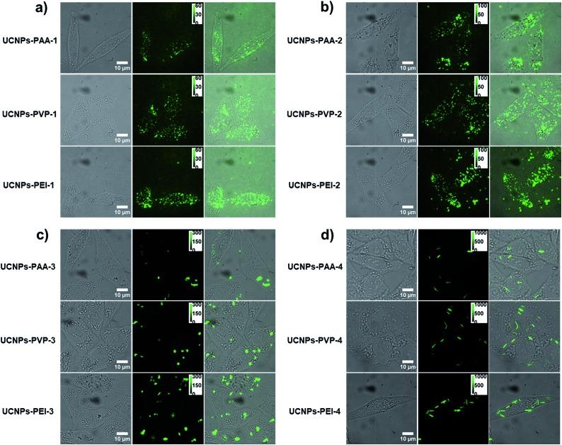https://cdn.ncbi.nlm.nih.gov/pmc/blobs/6f4d/6001388/66ce37706230/c8sc01828f-f4.jpg
