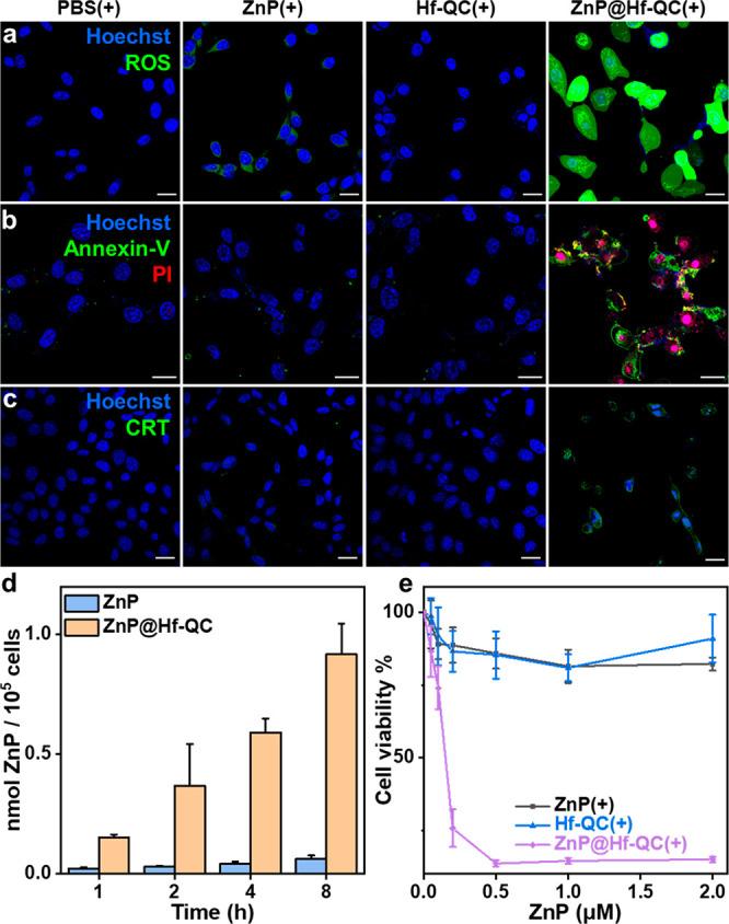 https://cdn.ncbi.nlm.nih.gov/pmc/blobs/6f4f/8414475/cdd1dc6e79e6/ja1c07379_0005.jpg