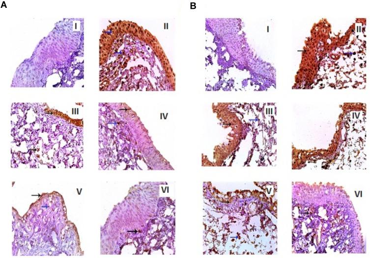 https://cdn.ncbi.nlm.nih.gov/pmc/blobs/6f50/8627895/c11f41693ce4/IJN-16-7775-g0011.jpg