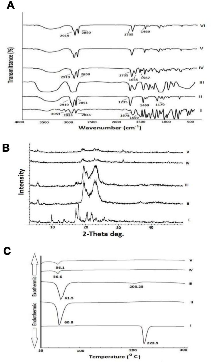 https://cdn.ncbi.nlm.nih.gov/pmc/blobs/6f50/8627895/eac63628d14b/IJN-16-7775-g0006.jpg