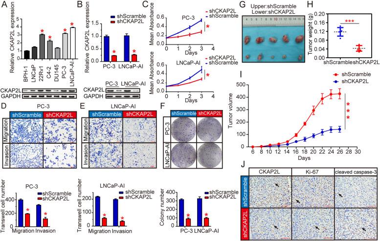 https://cdn.ncbi.nlm.nih.gov/pmc/blobs/6f51/9206381/8704c6c0dc22/12885_2022_9762_Fig2_HTML.jpg
