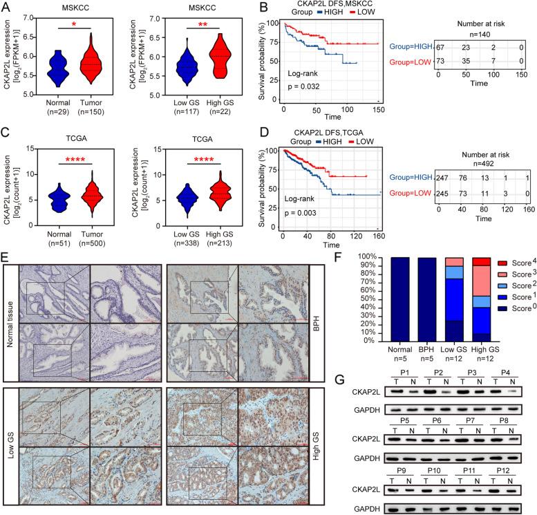 https://cdn.ncbi.nlm.nih.gov/pmc/blobs/6f51/9206381/db2da2e6a082/12885_2022_9762_Fig1_HTML.jpg