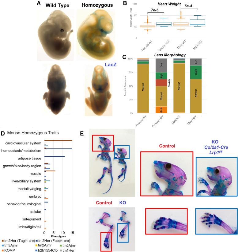 https://cdn.ncbi.nlm.nih.gov/pmc/blobs/6f52/9632358/213e22f4bee4/MCS006169Mar_F5.jpg