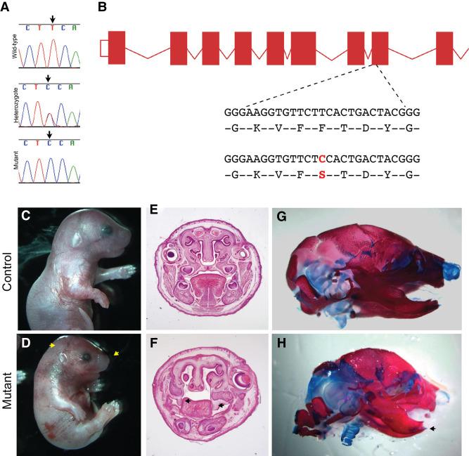 https://cdn.ncbi.nlm.nih.gov/pmc/blobs/6f52/9632358/cac018e70ea6/MCS006169Mar_F4.jpg