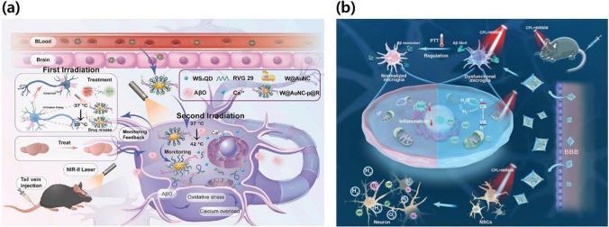 https://cdn.ncbi.nlm.nih.gov/pmc/blobs/6f55/11408446/4d81345a0ff7/11671_2024_4099_Fig7_HTML.jpg