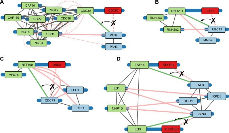 https://cdn.ncbi.nlm.nih.gov/pmc/blobs/6f56/4797274/6acd2848f643/gkv1284fig4.jpg