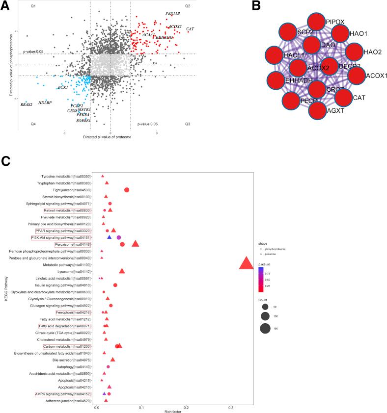 https://cdn.ncbi.nlm.nih.gov/pmc/blobs/6f59/9421584/1a6af5d69e2c/gr3.jpg