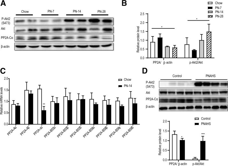 https://cdn.ncbi.nlm.nih.gov/pmc/blobs/6f59/9421584/a1db9f365f0f/gr5.jpg