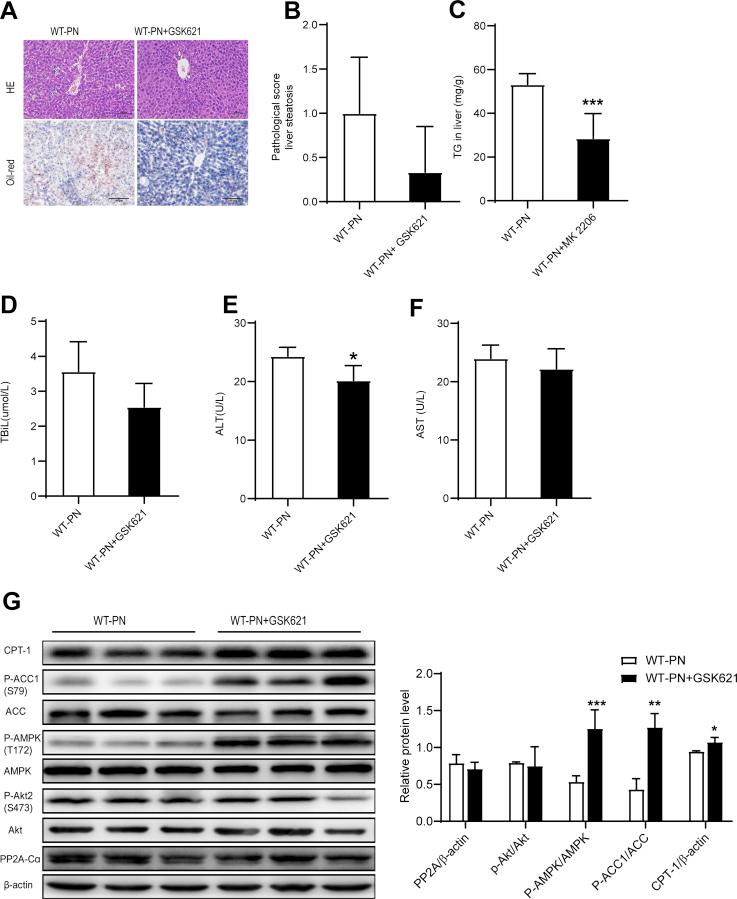 https://cdn.ncbi.nlm.nih.gov/pmc/blobs/6f59/9421584/c284dbed9341/gr12.jpg