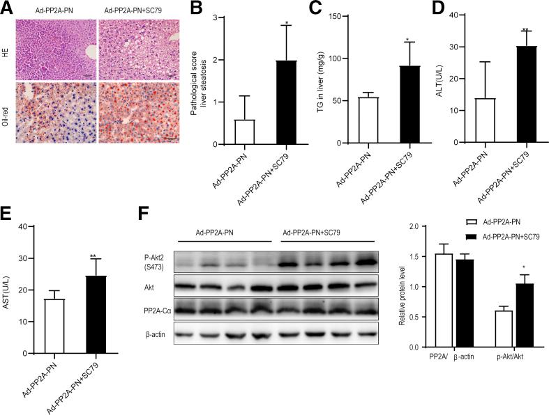 https://cdn.ncbi.nlm.nih.gov/pmc/blobs/6f59/9421584/cb4c9a353915/gr9.jpg