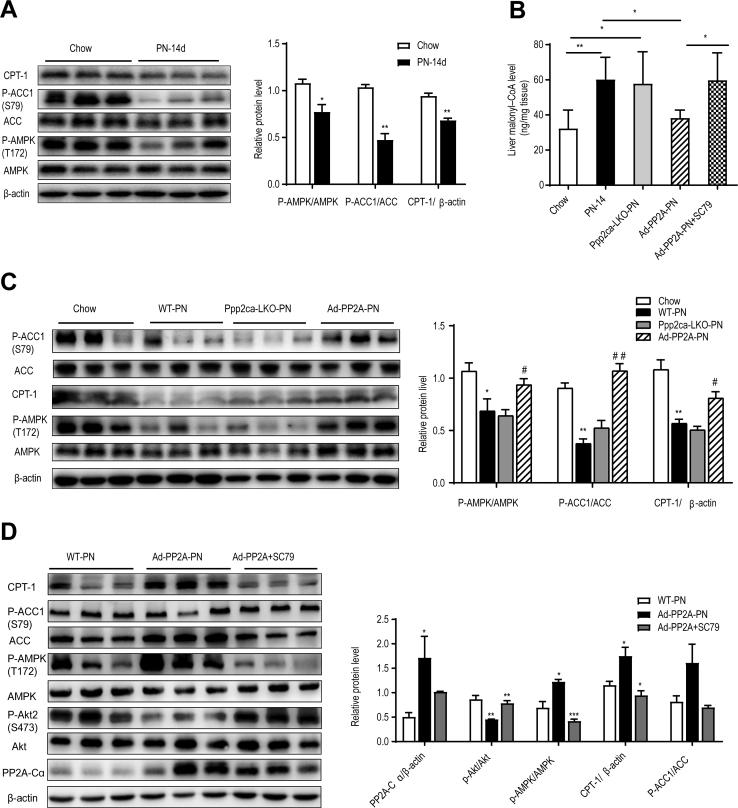 https://cdn.ncbi.nlm.nih.gov/pmc/blobs/6f59/9421584/d01963b0e868/gr11.jpg
