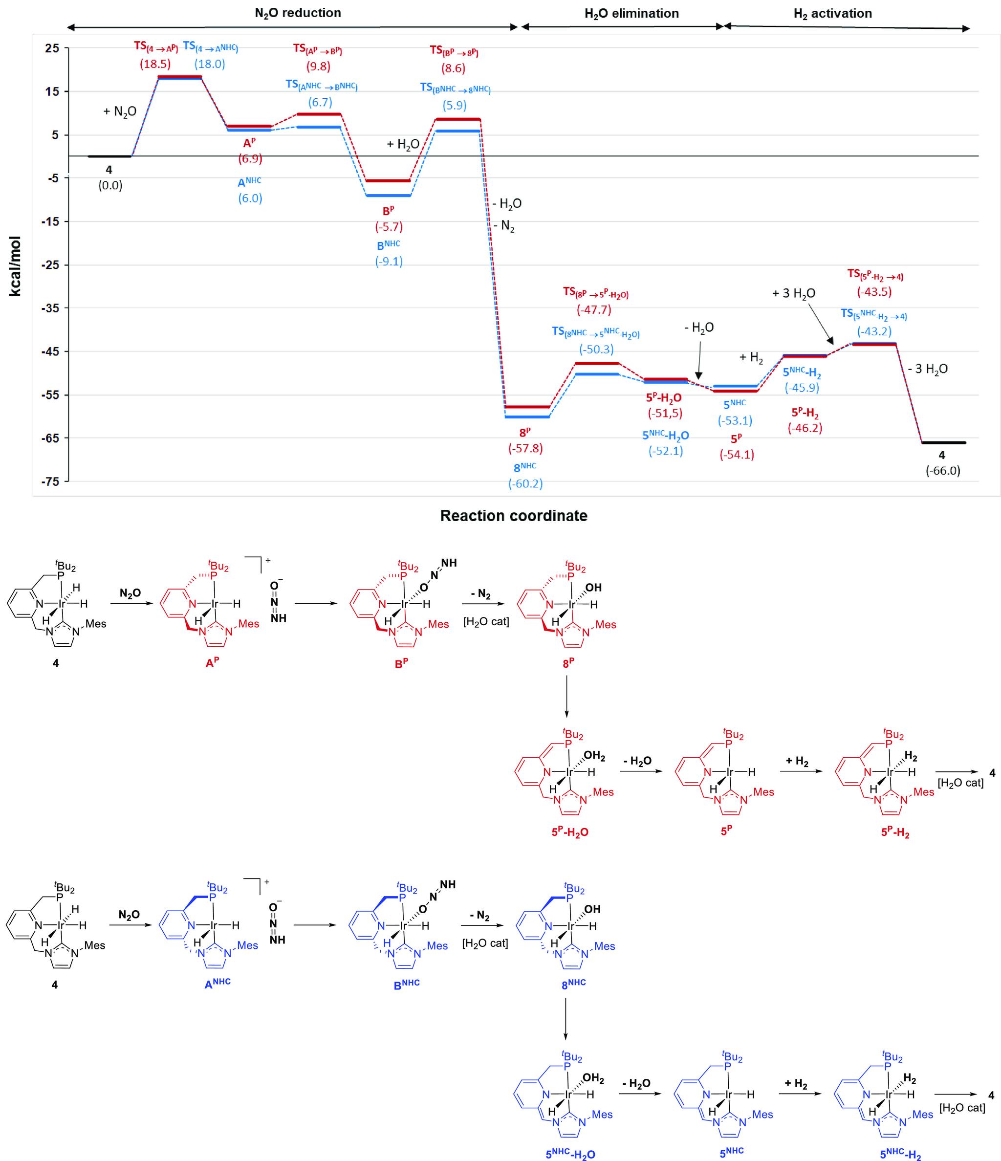 https://cdn.ncbi.nlm.nih.gov/pmc/blobs/6f5a/10441893/1688cc1d8bb9/ic2c02963_0005.jpg