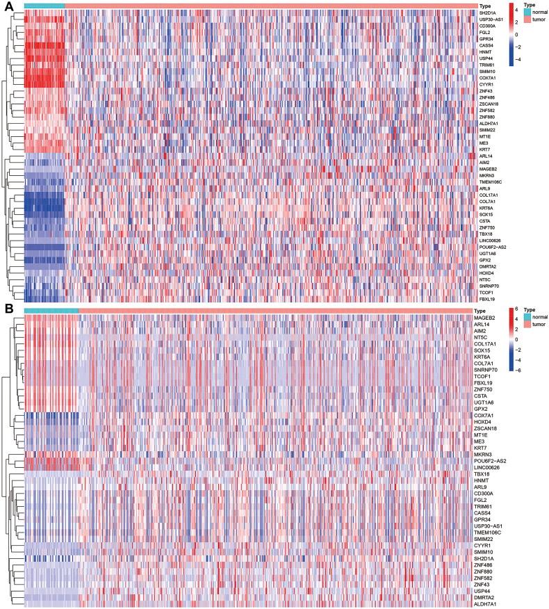 https://cdn.ncbi.nlm.nih.gov/pmc/blobs/6f5d/11703541/aa20030cdd8c/IANN_A_2442529_F0002_C.jpg